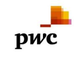 Big Four Consulting