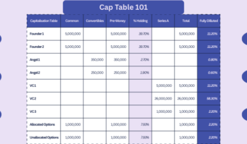 Investor Ready Cap table